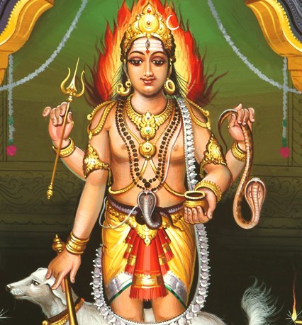 Rescue and care for animals in Bhairava seva.